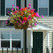 Hamptons at New Albany Park