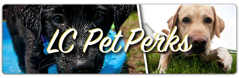 Pet Friendly